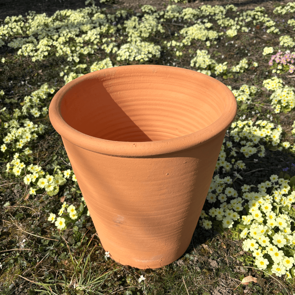 Pot d'ornementation tilia