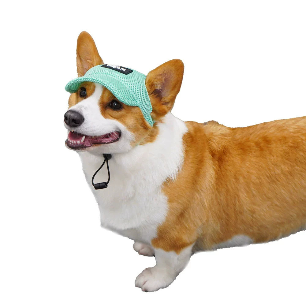 Dtopbuyage chapeau de soleil pour chiens