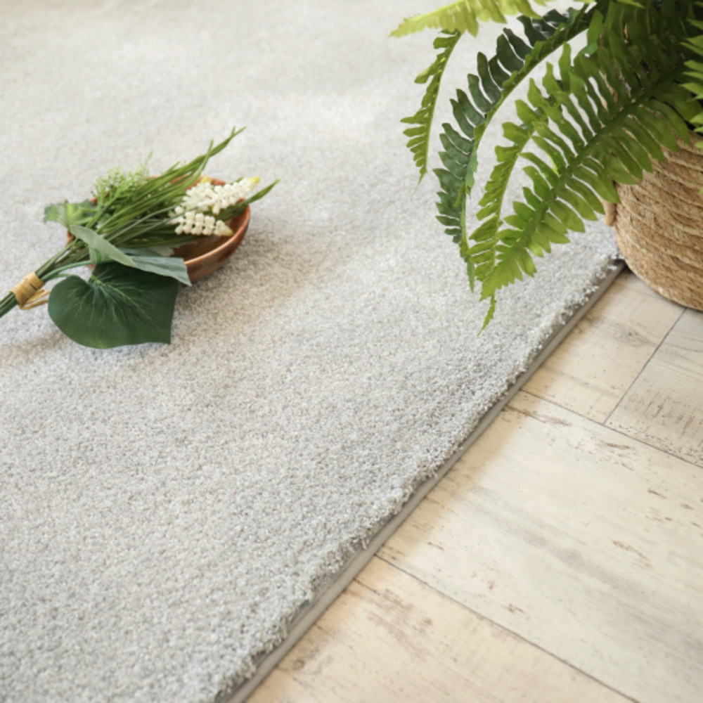 Tapis doux poils longs - touch gris clair - galon gris clair - 140 x 200 cm