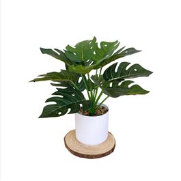 Lot De 3 Plantes Artificielles Bonsaï En Pot – Simulation Réaliste, Entretien Zéro – Déco Intérieur Salon, Bureau