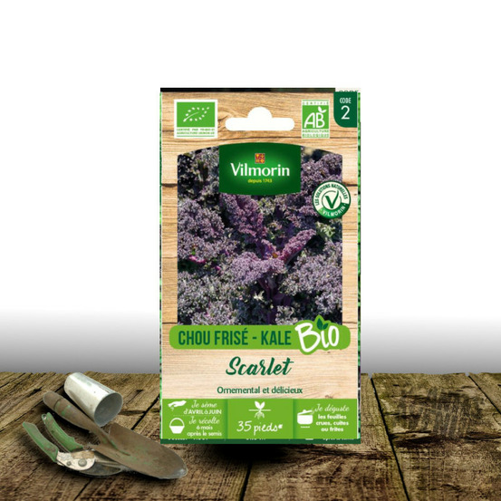 Graines de chou japonais rouge scarlett - sans traitement - vilmorin sachet