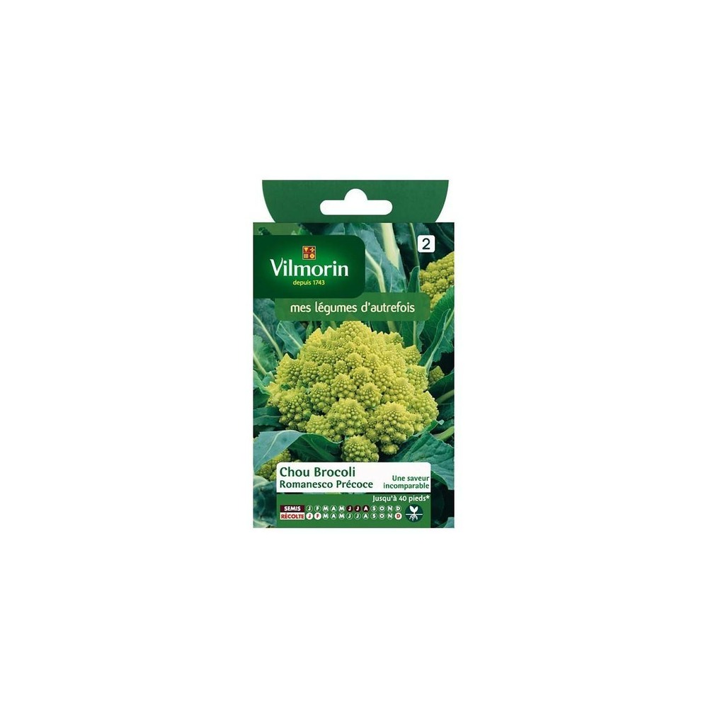 Sachet graines chou brocoli romanesco précoce