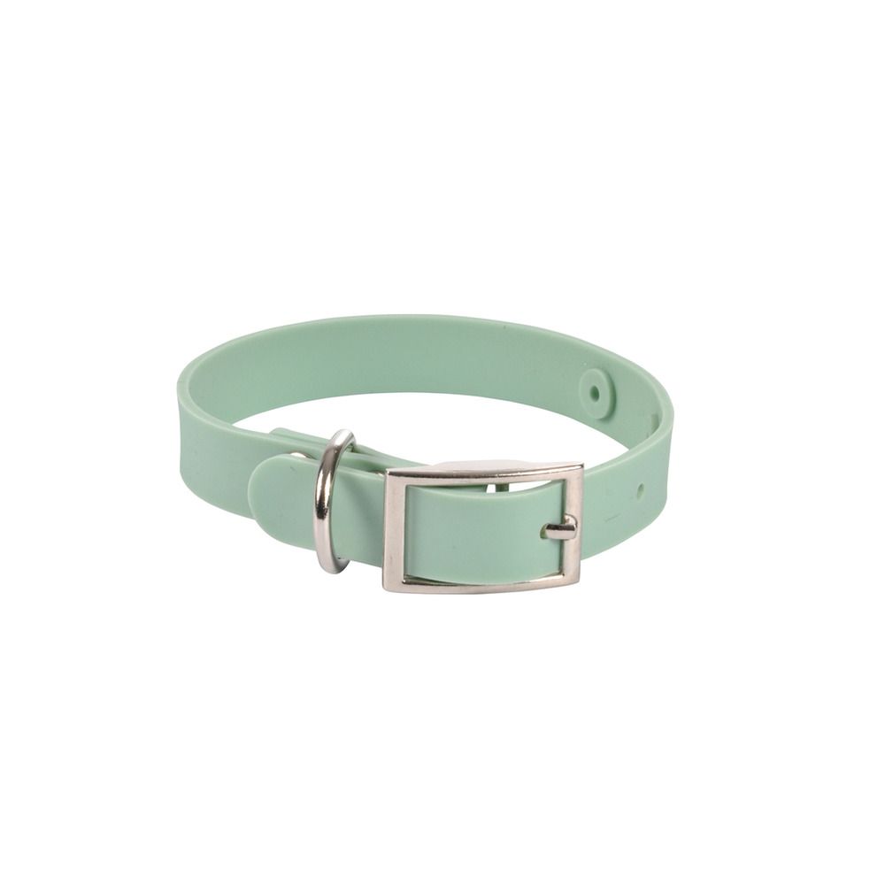Collier en silicone pour chien silicoole