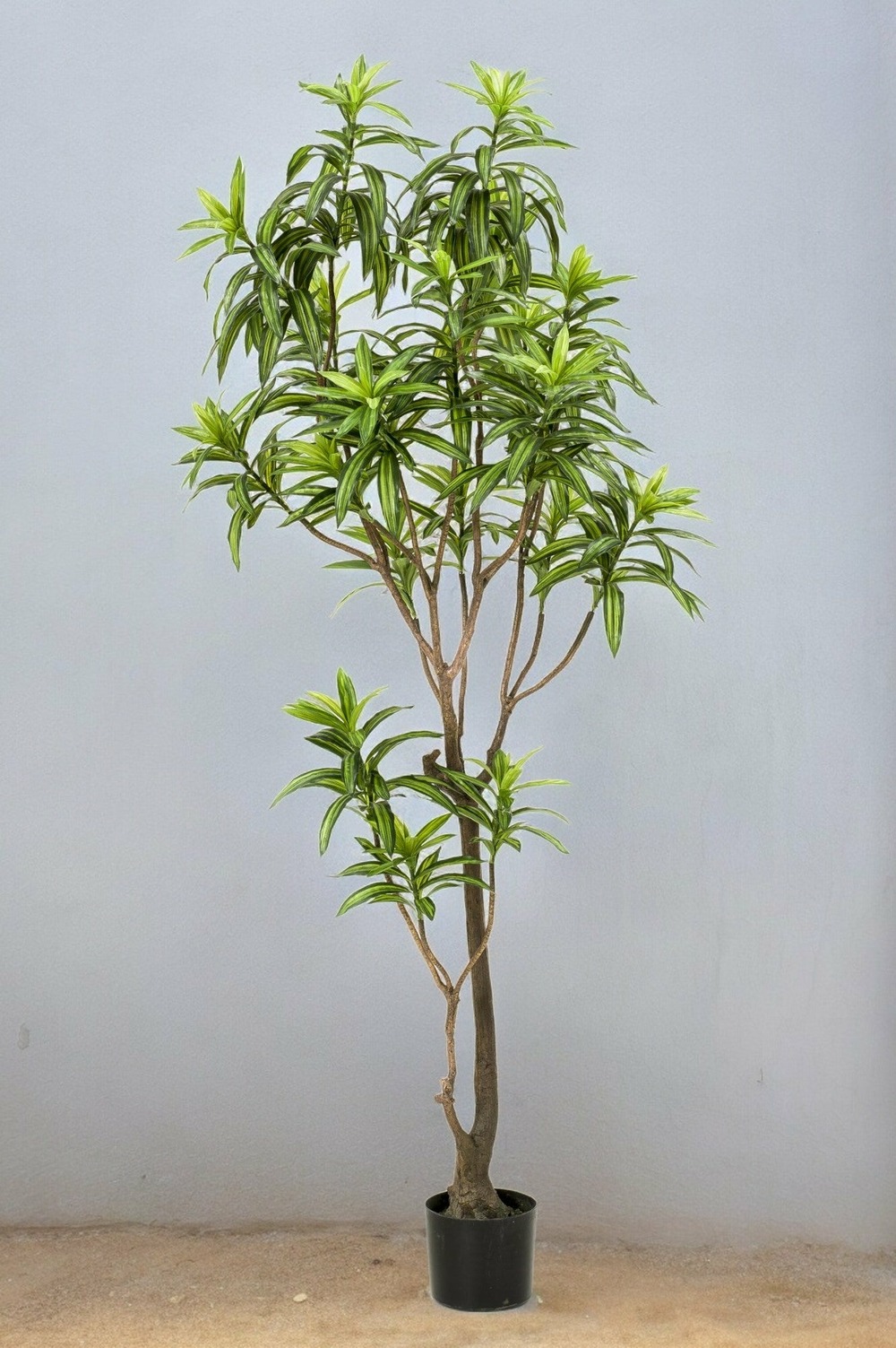 Dracaena plante artificielle - h190cm, ø17cm