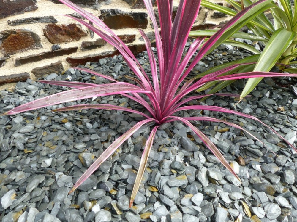 Paillage ardoise gris 10-30 pack 7 m² - 17 sacs - 425 kg