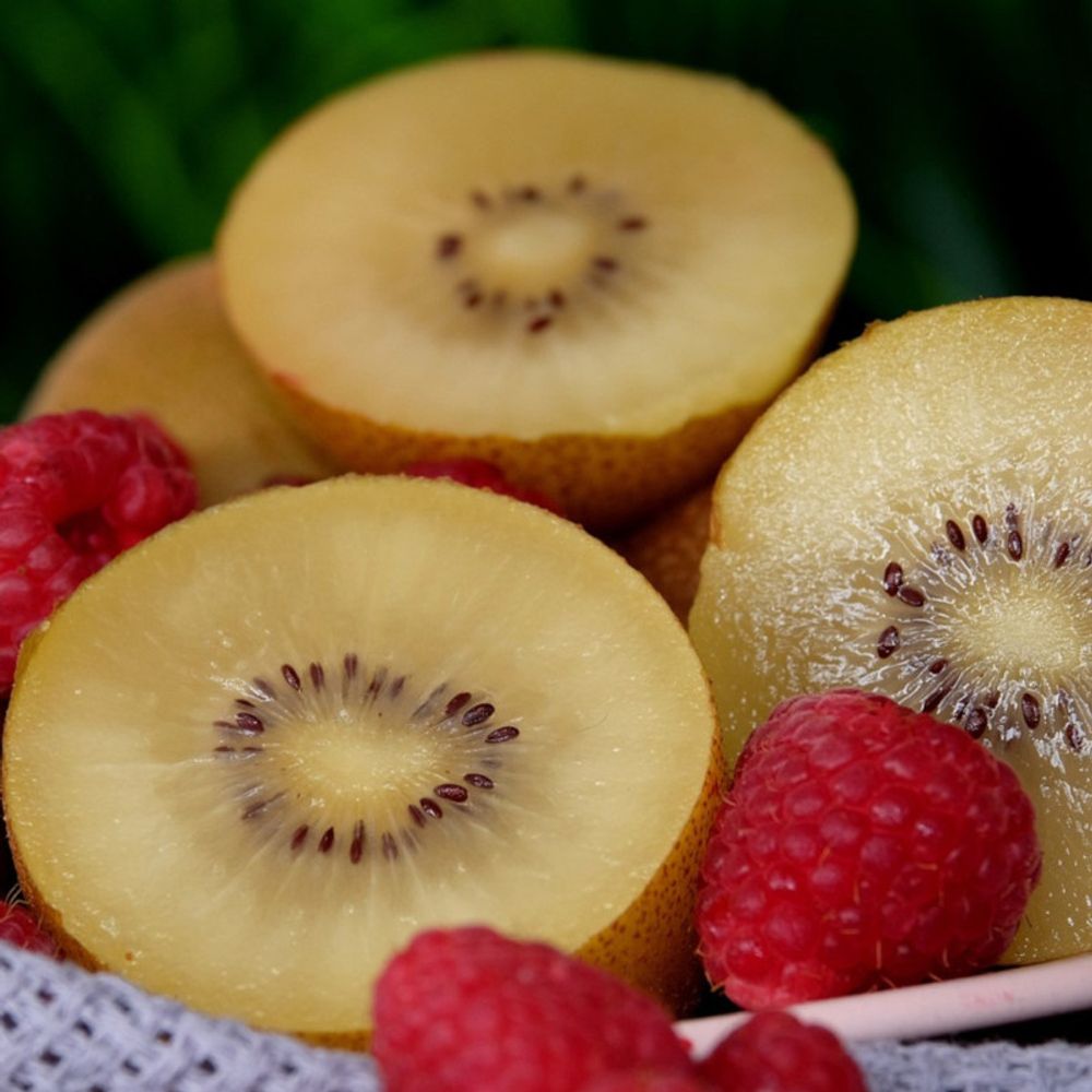 Kiwi gold (femelle)  pot de 1,7l - 60cm
