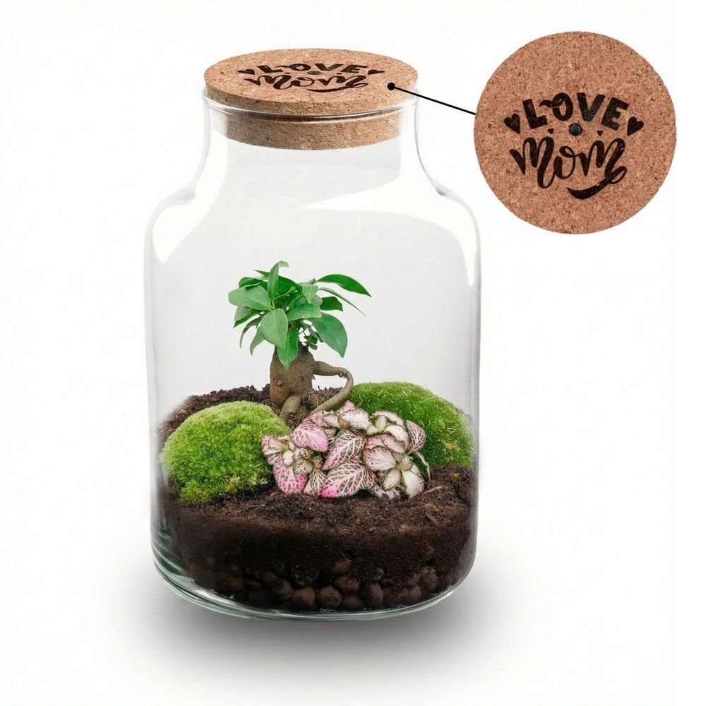 Terrarium à composer bouteille en verre recyclé - ø17-h25cm - sans outils - bouchon led - terrarium diy