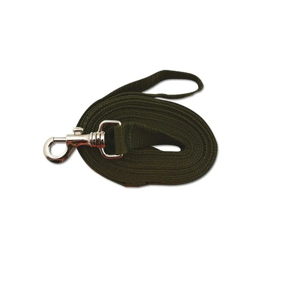 Longe pour chien 5m kaki