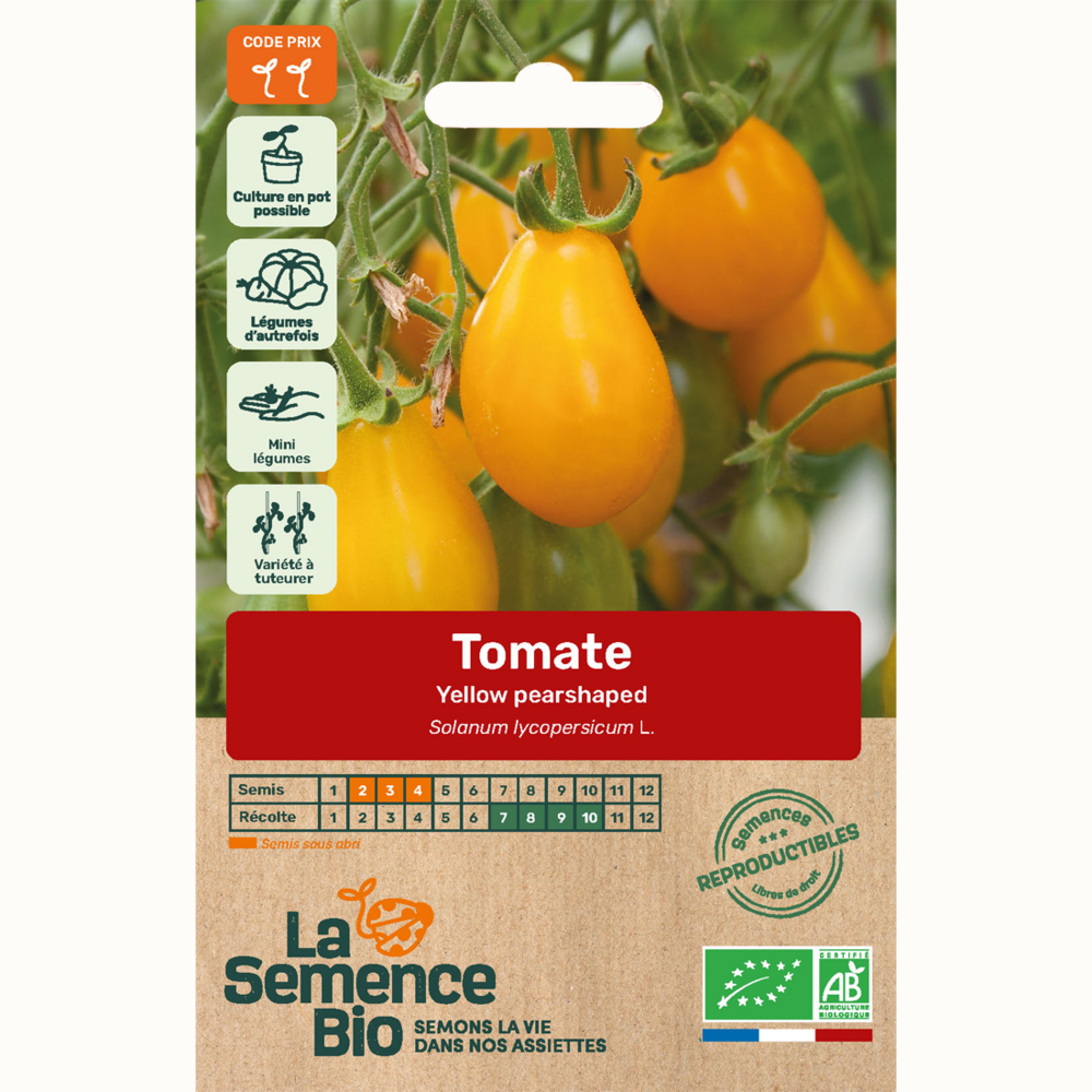 Tomate yellow pearshaped - graines bio