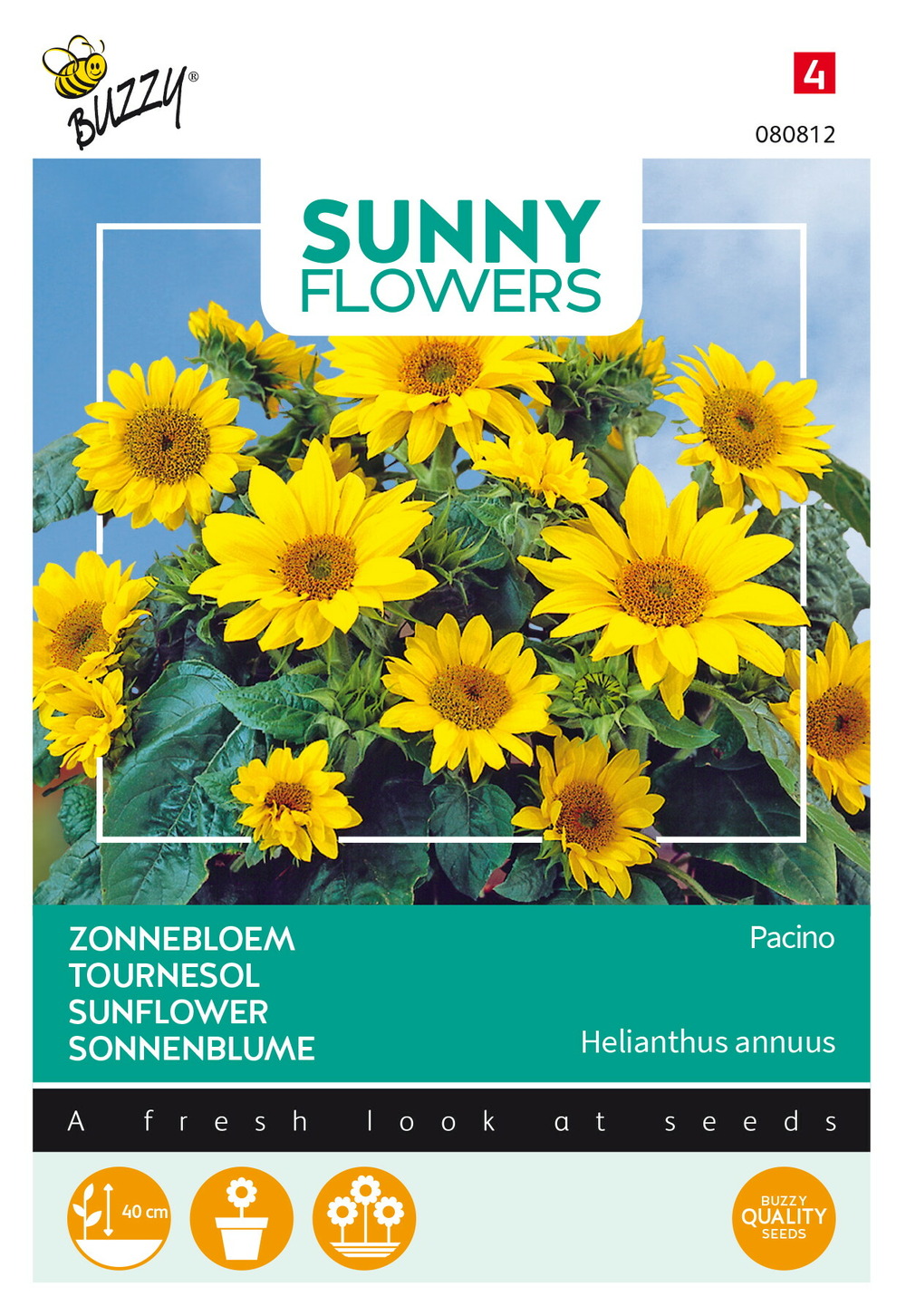 Buzzy sunny flowers, tournesol pacino gold - ca. 0,75 gr (livraison gratuite)