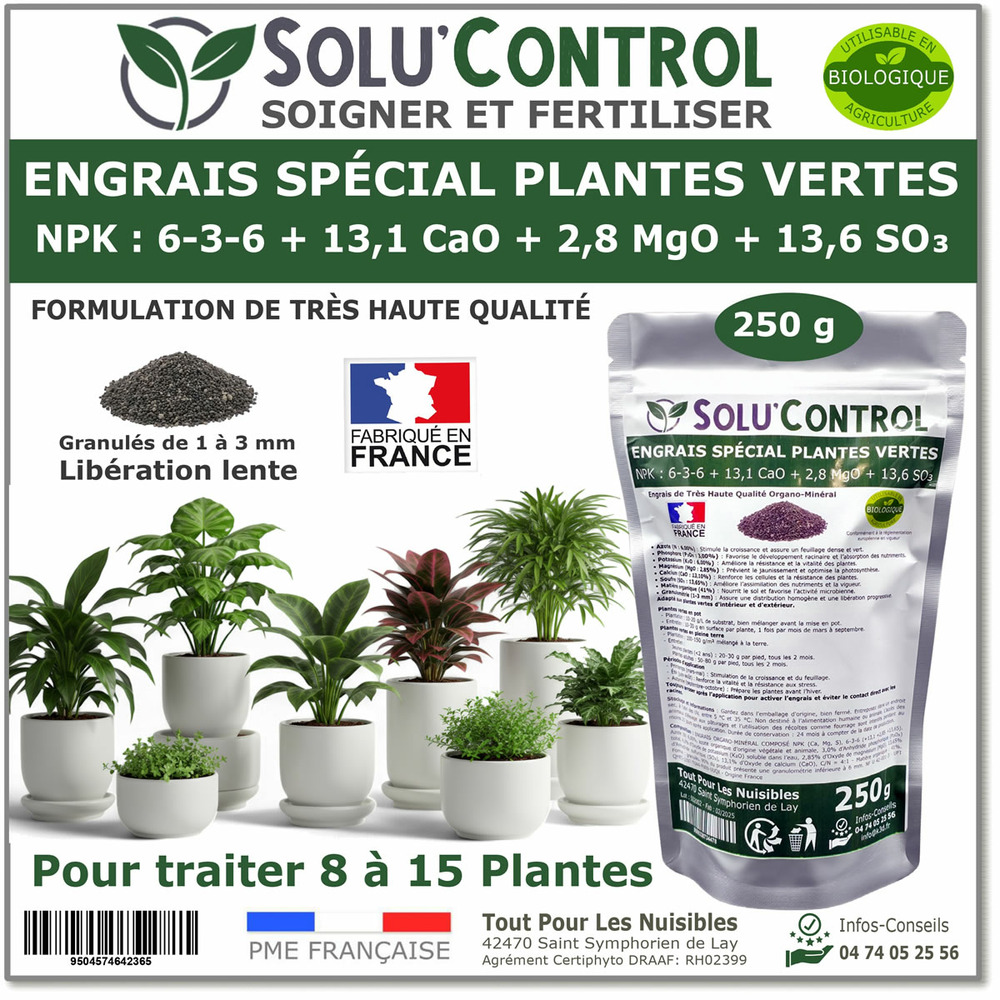 250 g engrais spécial plantes vertes 6-3-6 - croissance, feuillage dense & vitalité - formulation organo-minerale