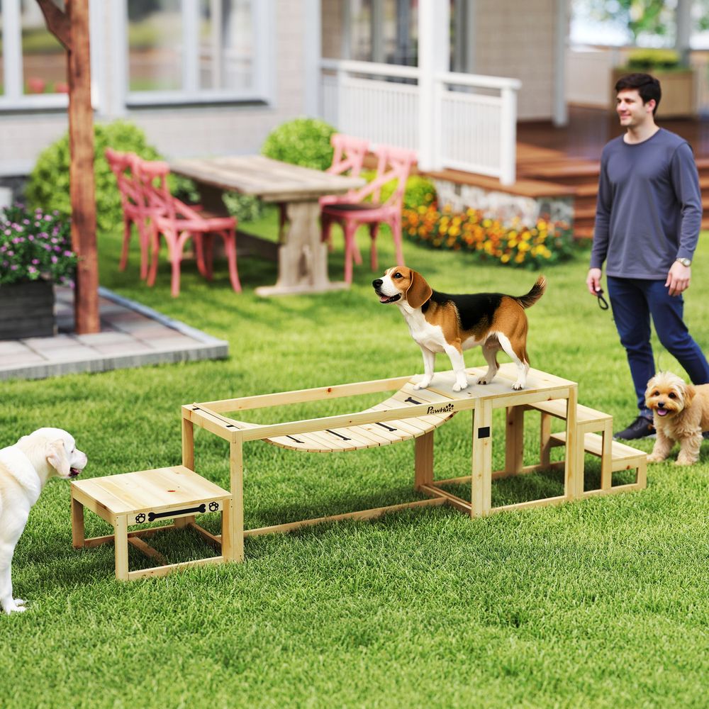Kit agility chien bois sapin parcours obstacles dressage grands chiens naturel - comfortxl pet living
