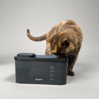 Fontaine à eau pour chat noir
