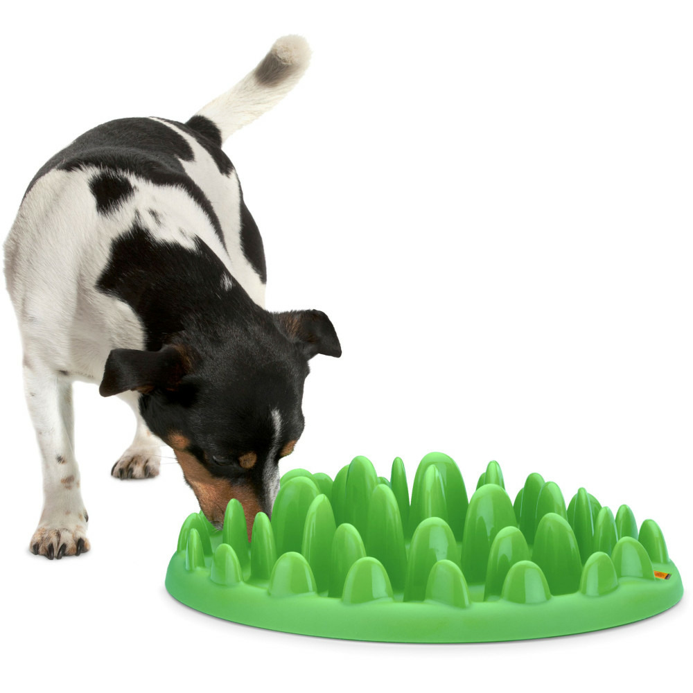 Gamelle plateau anti glouton 40 cm pour chien