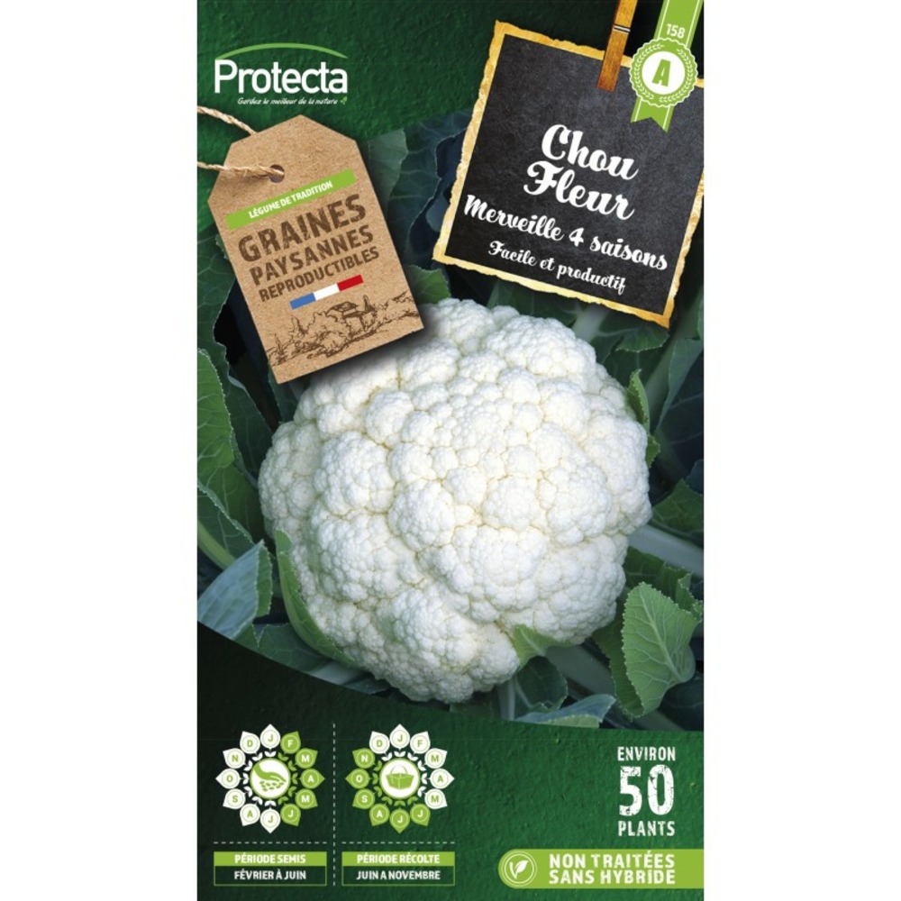 Graines paysannes - chou fleur merveille de toutes saisons