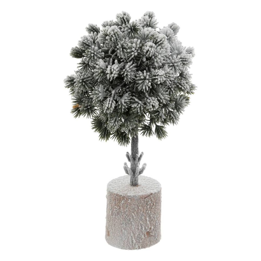 Buis enneigé h. 25 cm