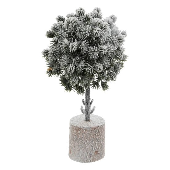 Buis enneigé h. 25 cm