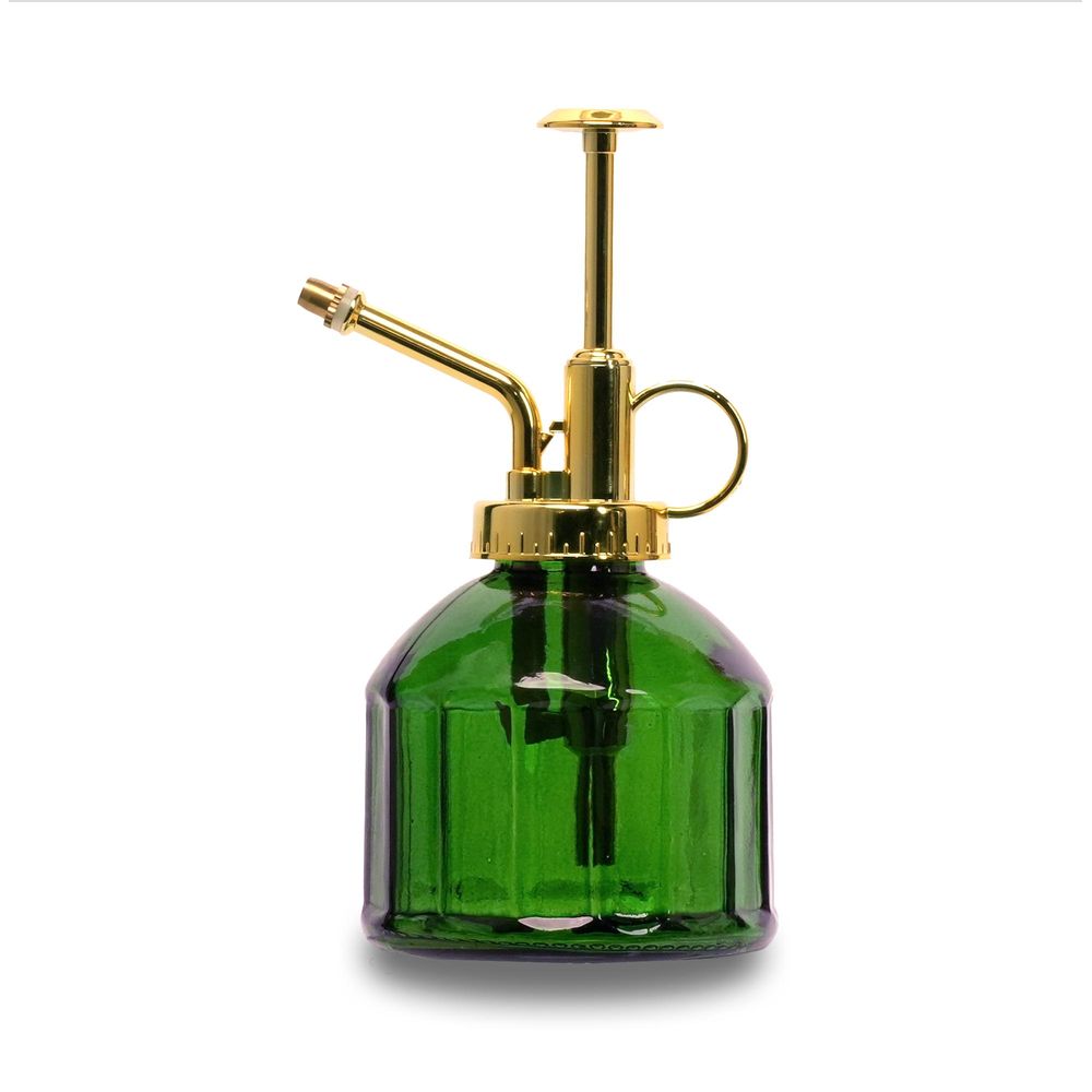 Vaporisateur vert - 0,25 litre - plantes d'intérieur
