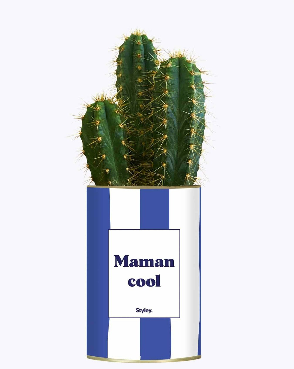 Idée cadeau - maman cool - cactus