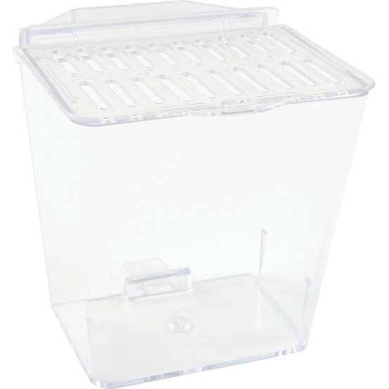 Cuve isolement avec couvercle 13 x 10 x 13 cm pour aquarium