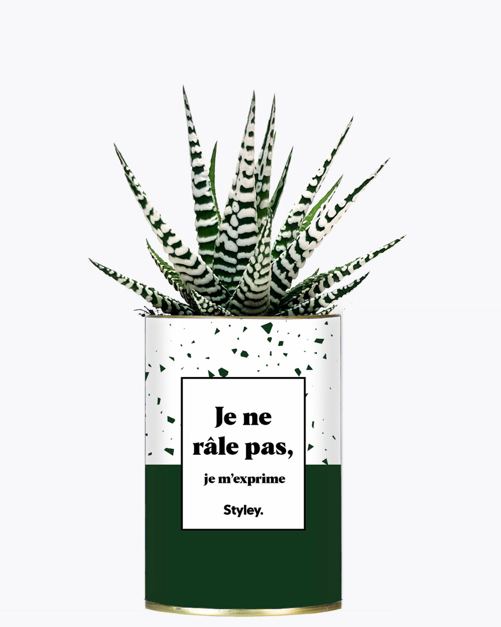 Plante personnalisée - je ne râle pas - cactus