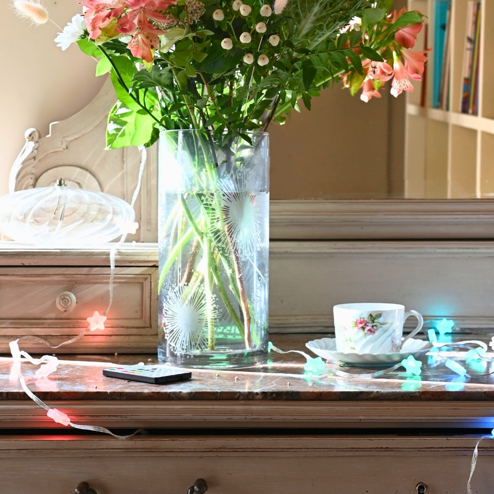 Guirlande micro led étoile rgb multicolore – 4,8 m avec télécommande