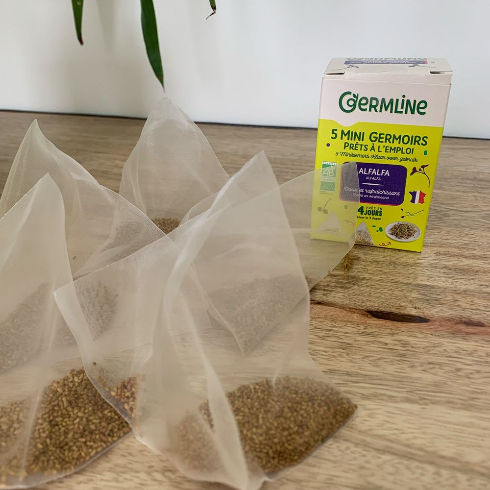 5 mini germoirs - graines alfafa