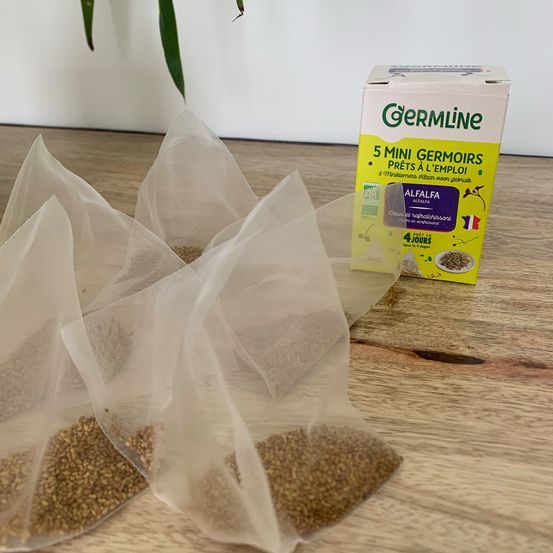5 mini germoirs - graines alfafa