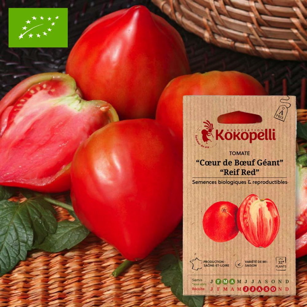 Tomate rouge mi-saison cœur de bœuf géant reif red- graines bio à semer