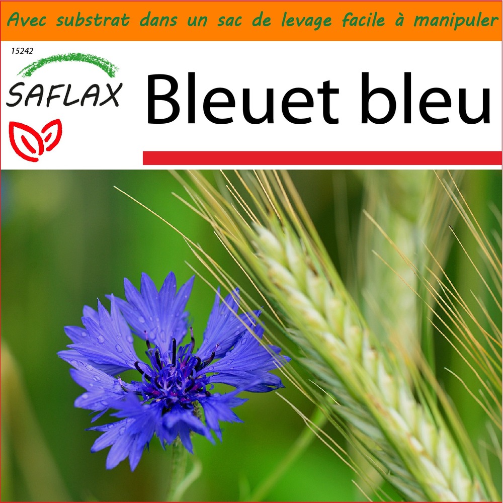 Garden in the bag - bleuet bleu - 27000 graines - centaurea cyanus
