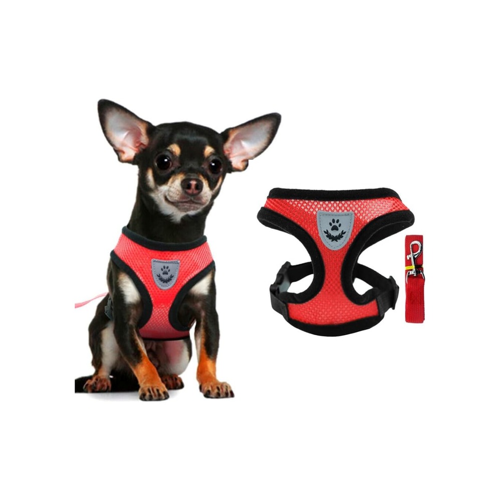 Harnais léger pour chihuahua et petit chien