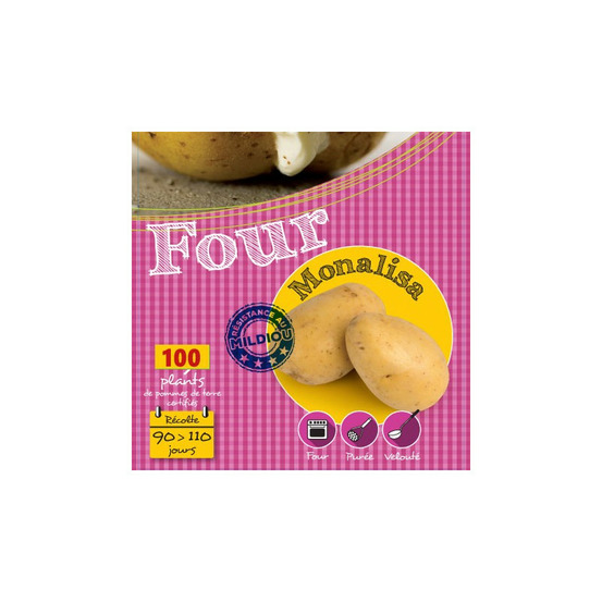 Monalisa 100 plants de pomme de terre