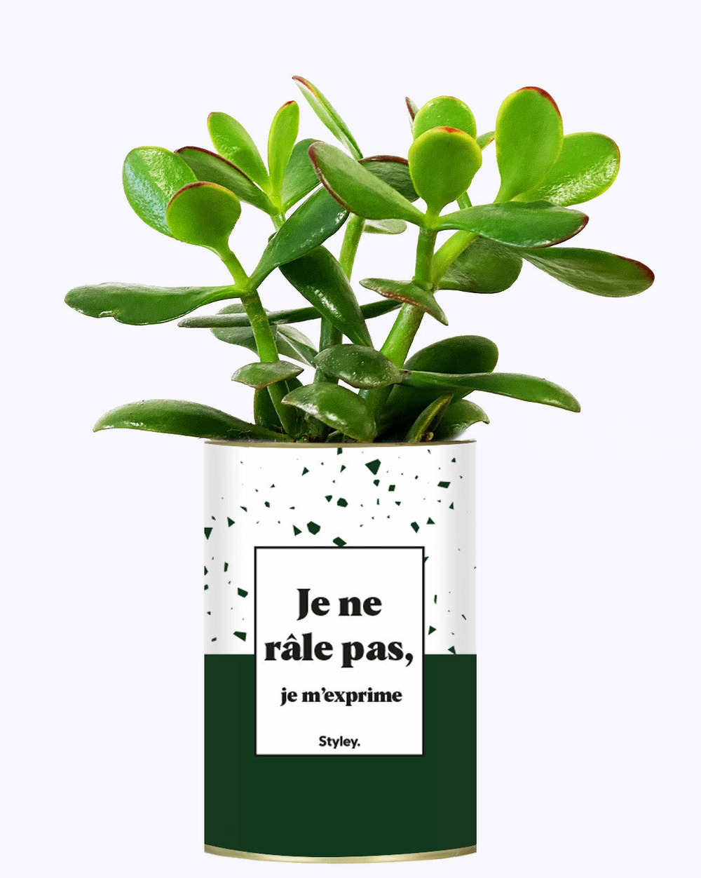 Plante personnalisée - je ne râle pas - cactus