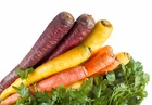 Sachet de graines de carotte hyb. Rainbow (mélange de couleurs) - sachet de 0,5 grammes - petite entreprise française