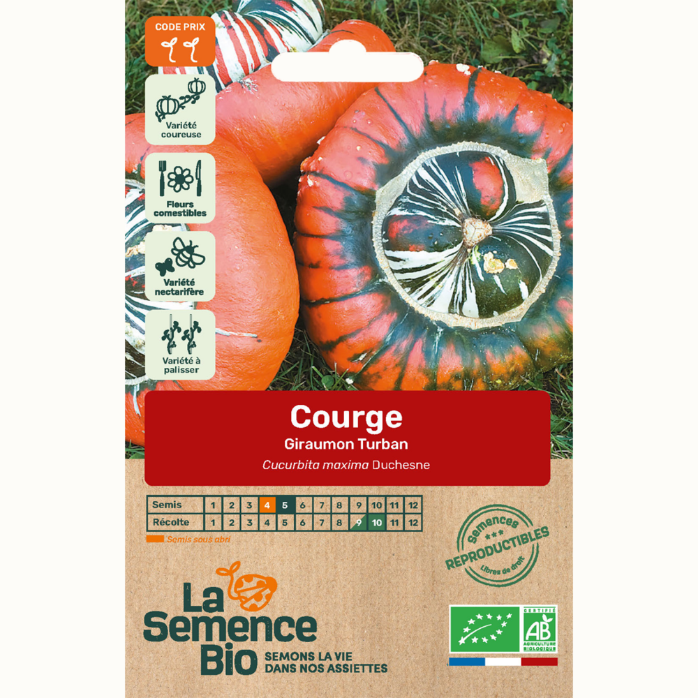 Courge giraumon turban - graines bio