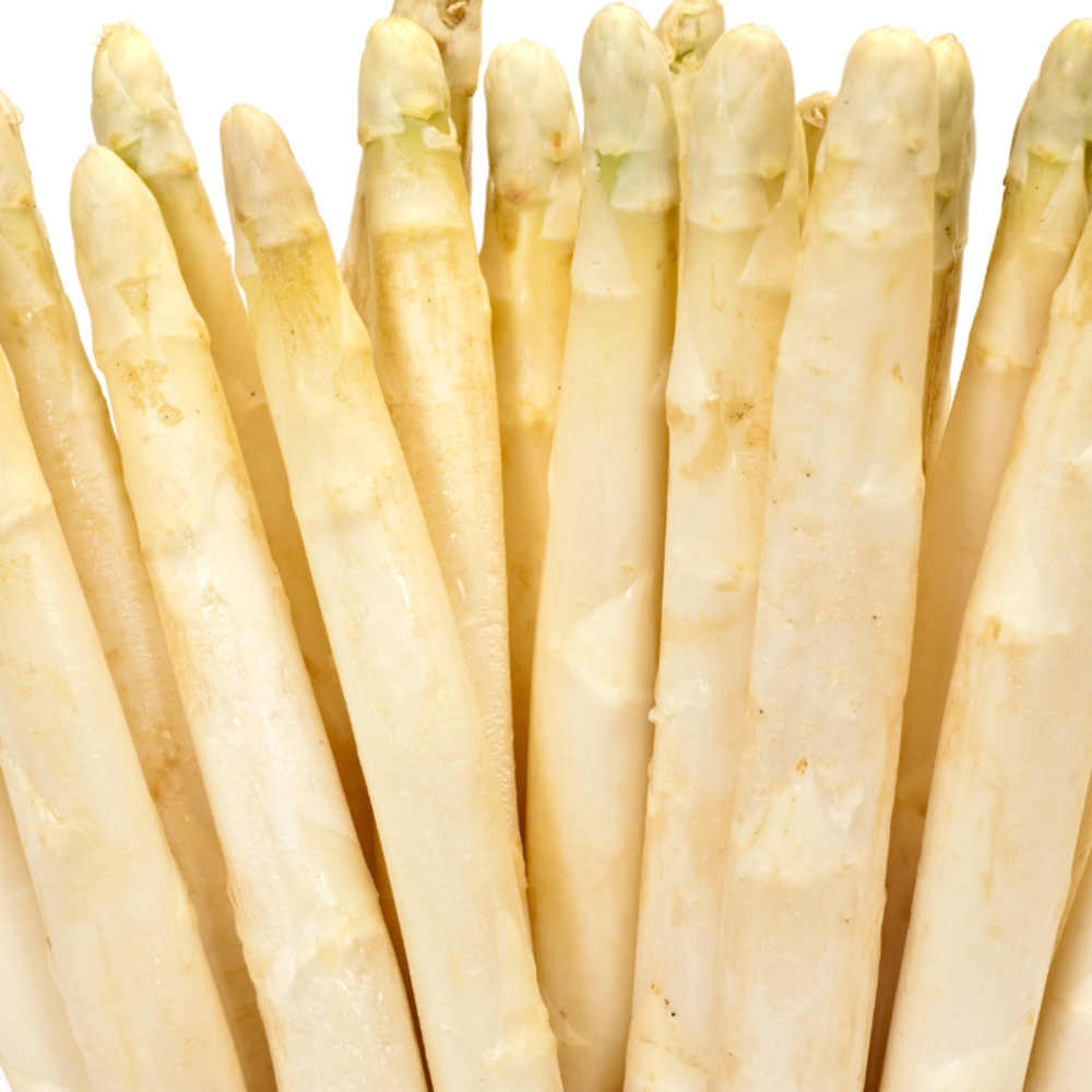 1 plant d'asperge backlim