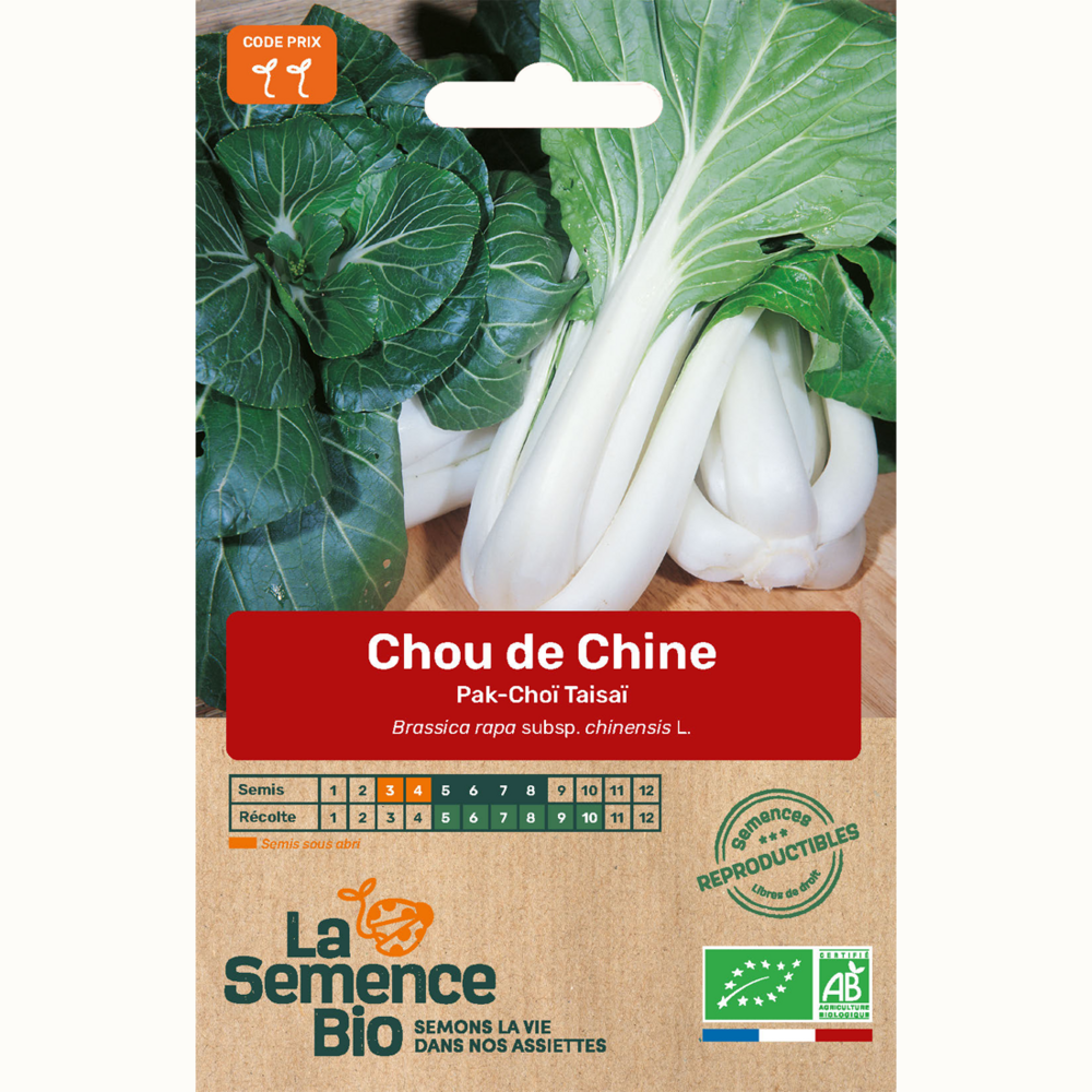 Chou de chine pak-choï taisaï - graines bio