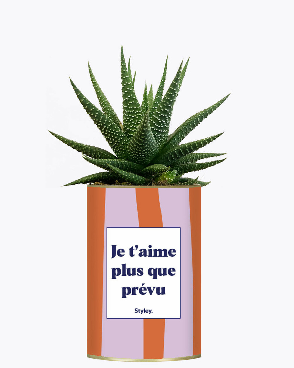 Idée cadeau - je t'aime plus que prévu - cactus