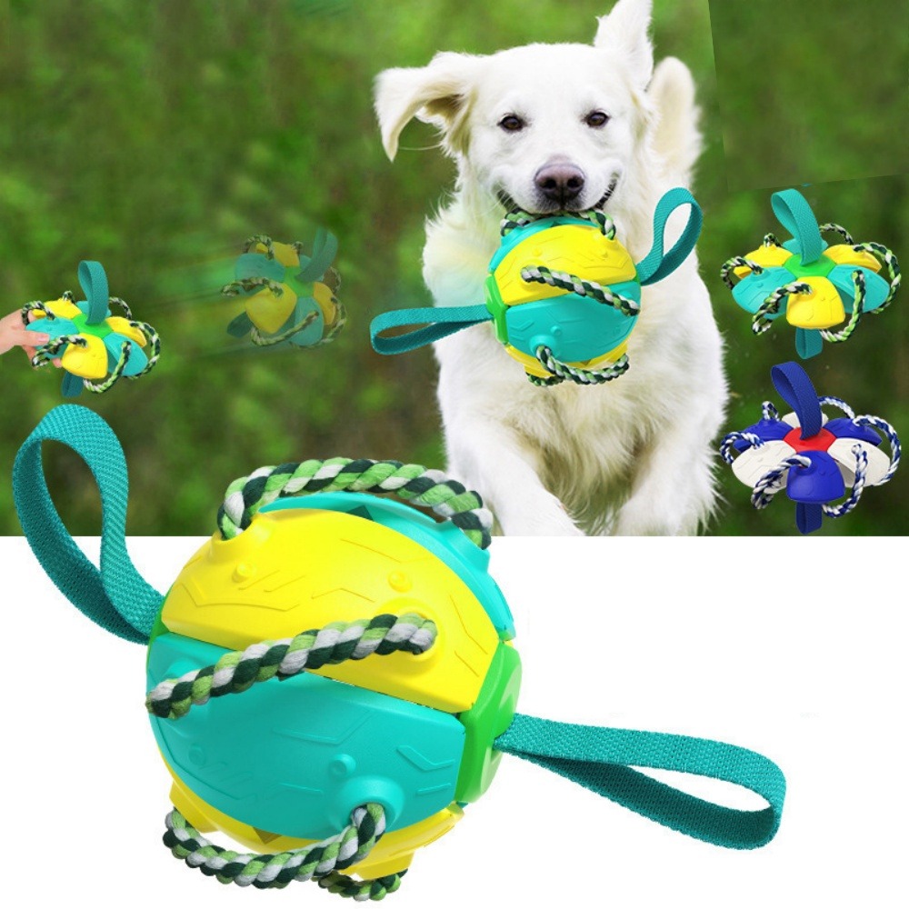 Frisbee pour chien dtopbuyage, jouets de football