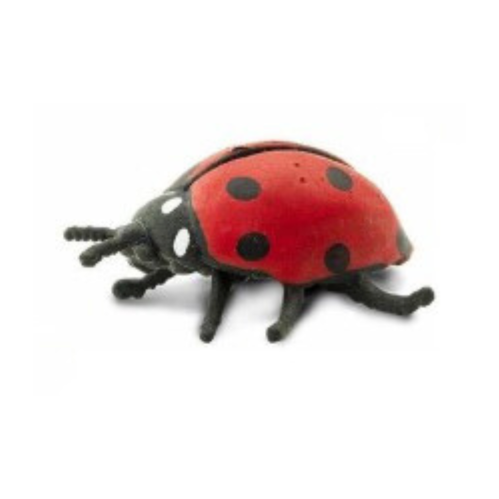 Figurine coccinelles - 2 cm
