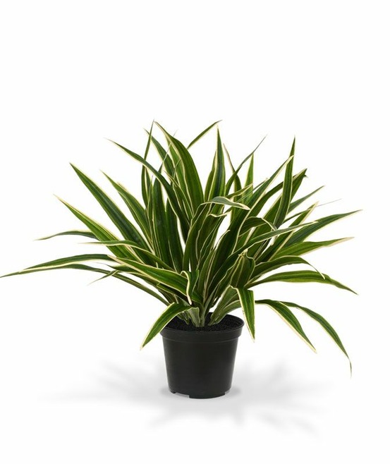 Chlorophytum plante artificielle de 30cm en pot