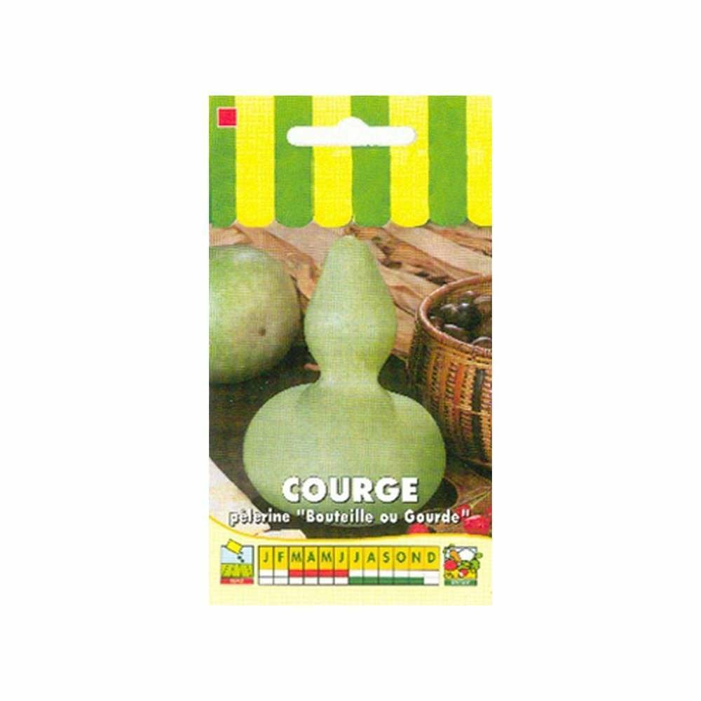 Courge dÃ©corative PÃšlerine ( bouteille PÃšleri