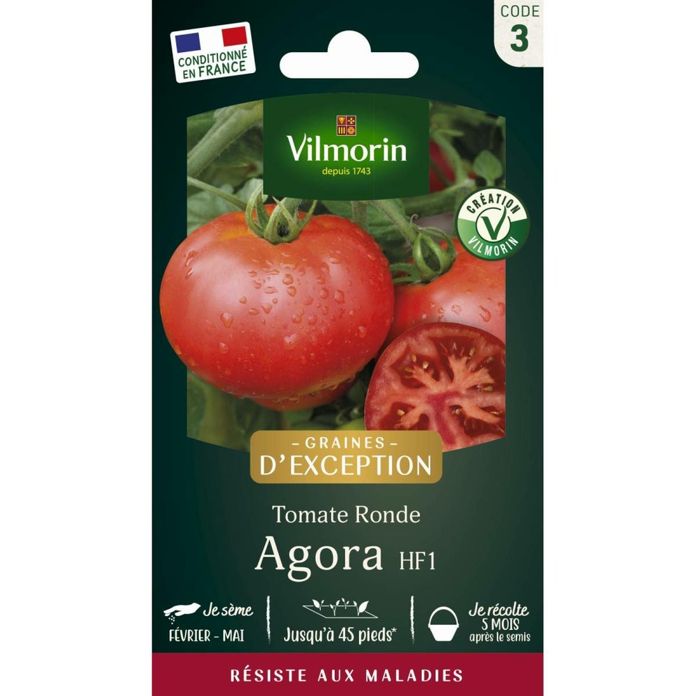 Sachet graines tomate agora hf1