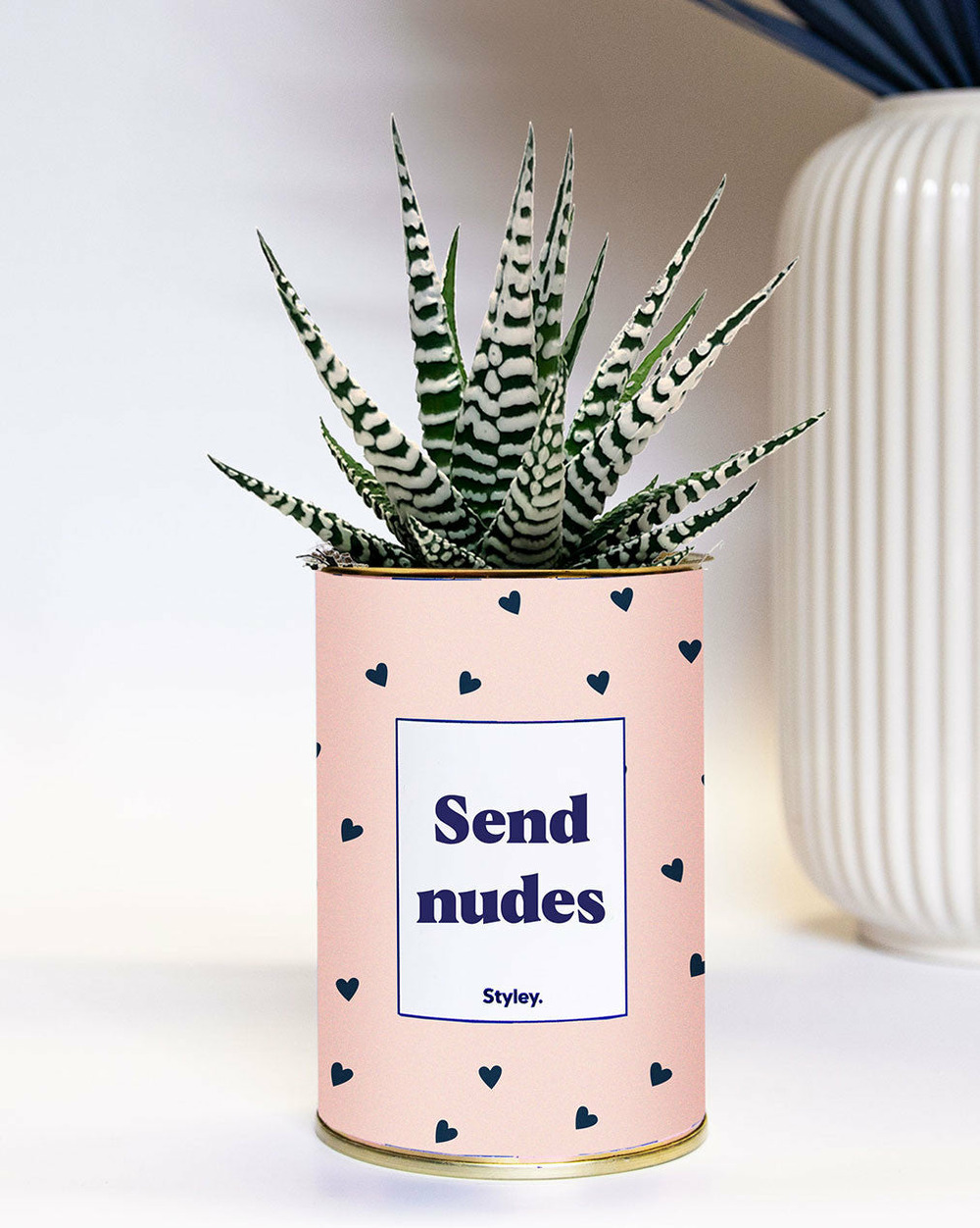 Plante personnalisée - send nudes - cactus