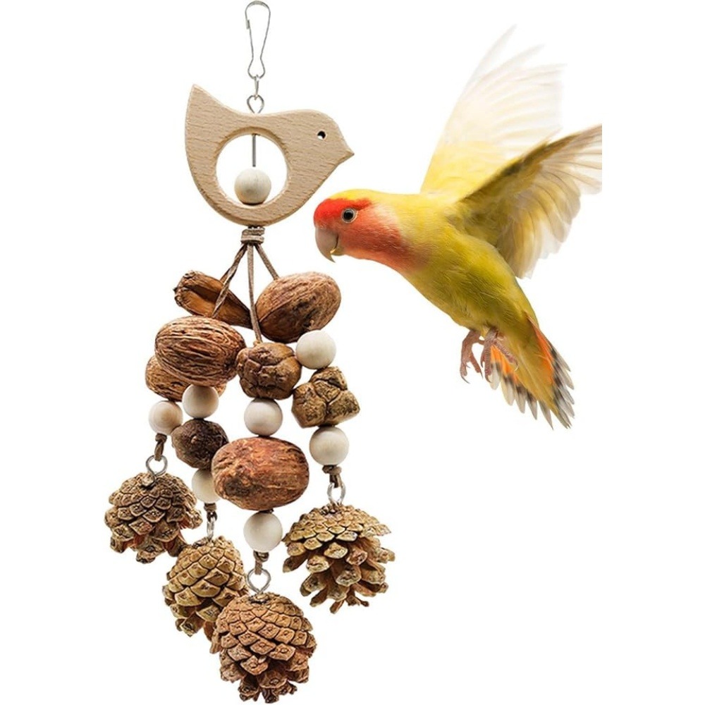 Jouets mâcher oiseaux bois pomme pin