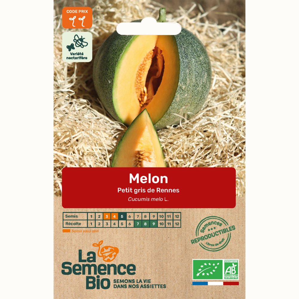 Melon petit gris de rennes - graines bio