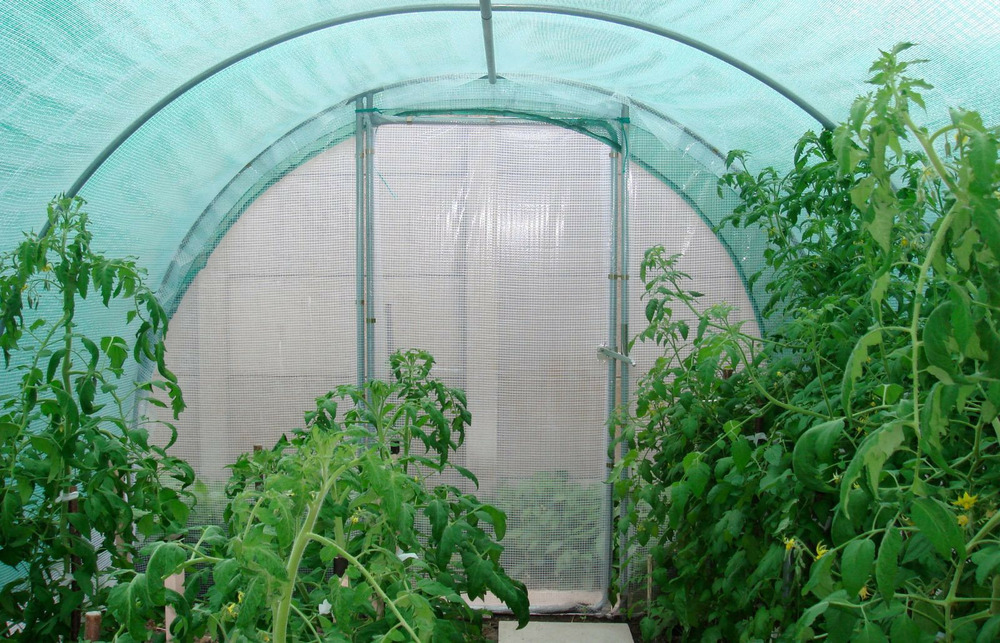 Filet d'ombrage pour serre tunnel de jardin - 3 à 4m de large - longueur 9m - les serres tonneau