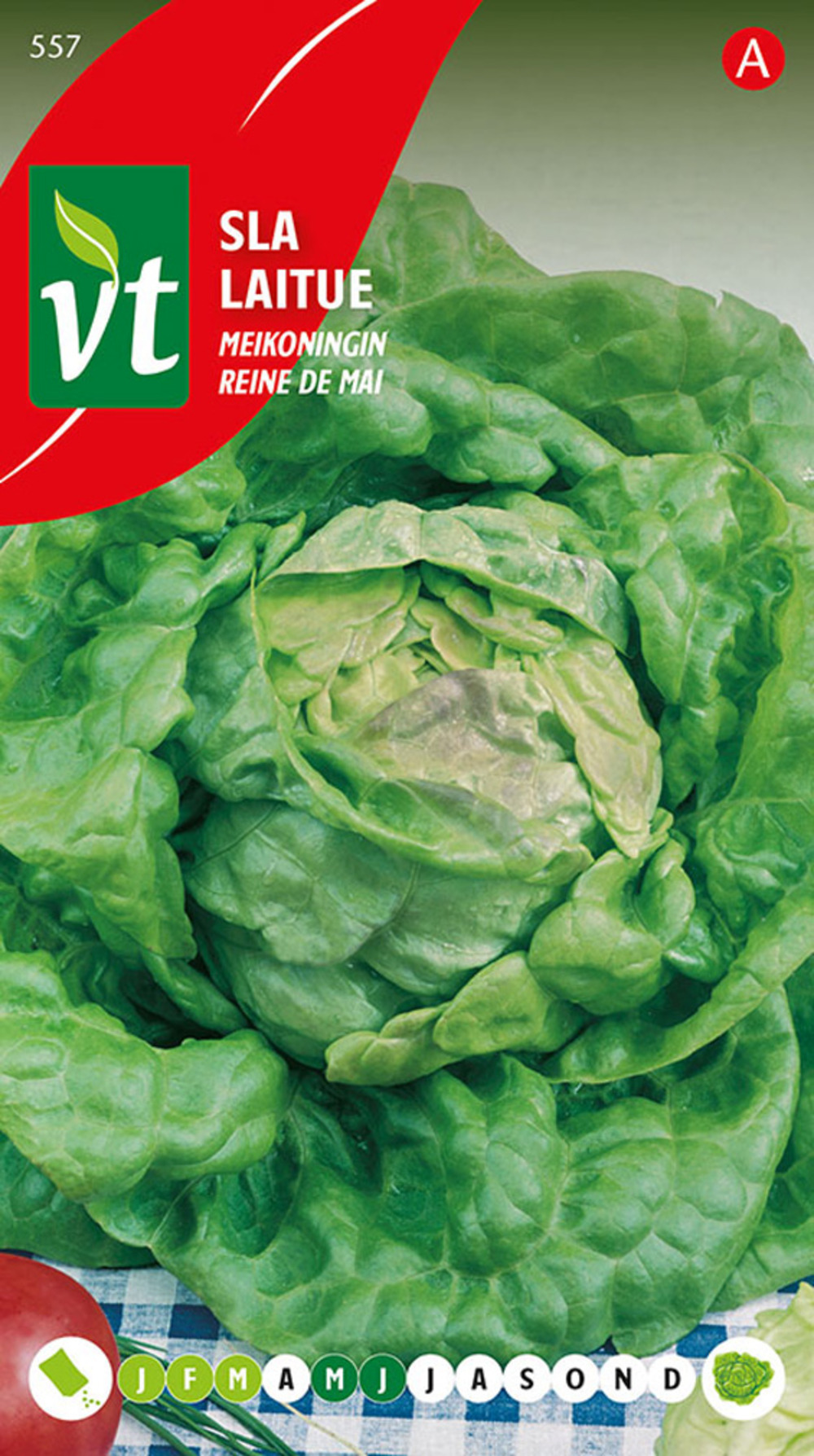 Laitue reine de mai - ca. 3 gr (livraison gratuite)