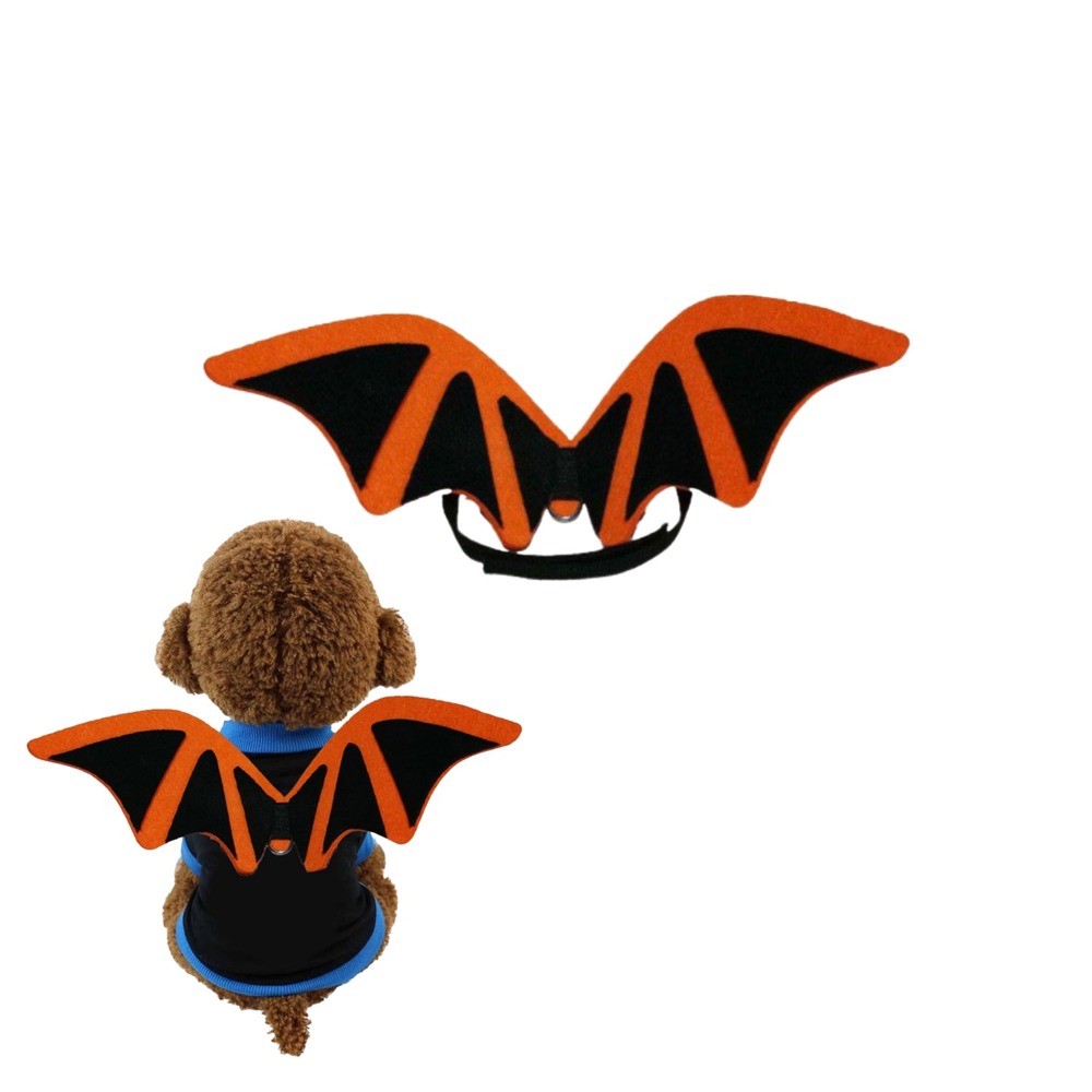 Déguisement halloween pour chien - facile à mettre m