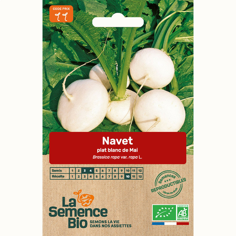 Navet plat blanc de mai - graines bio